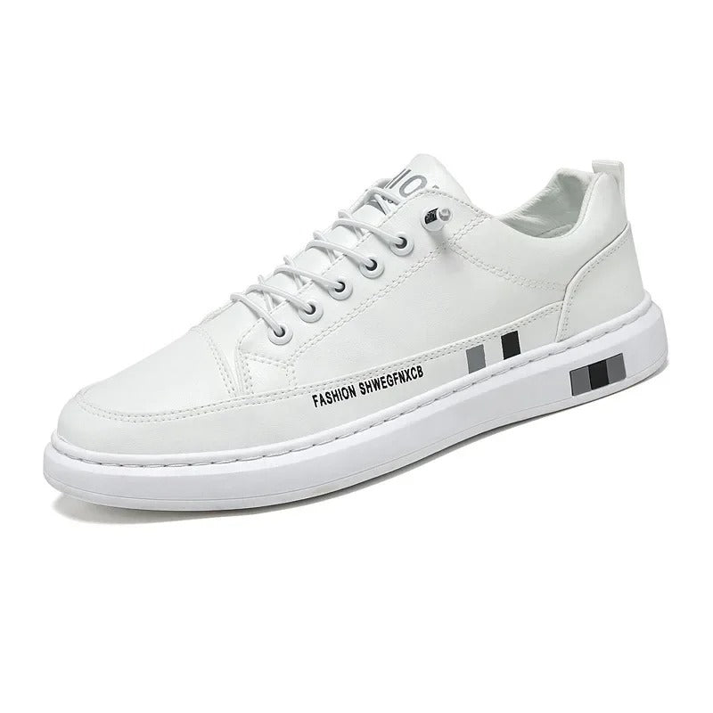 gid://shopify/MediaImage/24691967000670